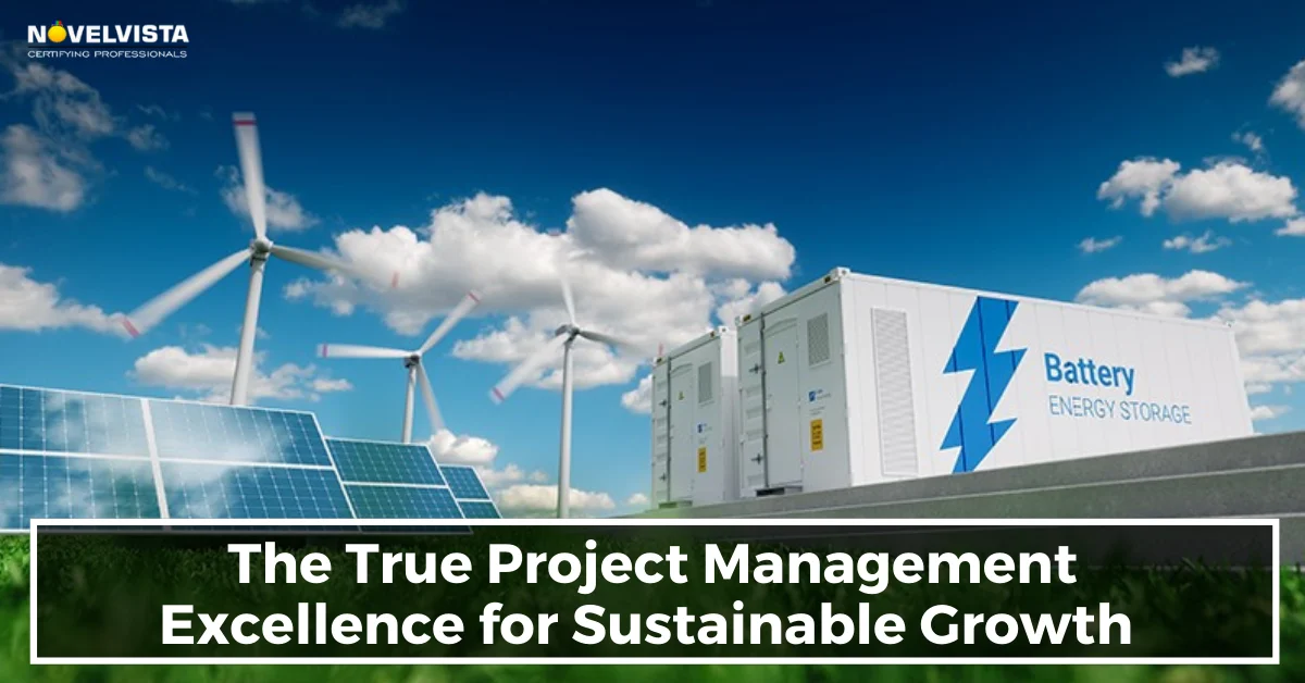 The True Project Management Excellence for Sustainable Growth | Novelvista