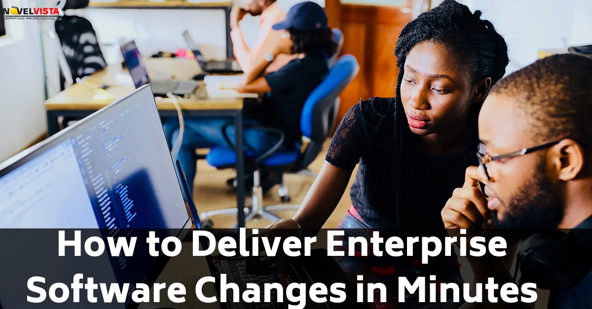 The Way Of Delivering Enterprise Software Changes In Minutes | Novelvista