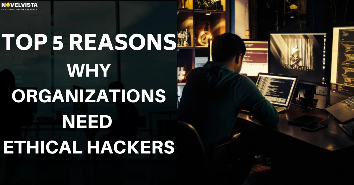 Is Your Organization In A Dire Need Of An Ethical Hacker? | Novelvista