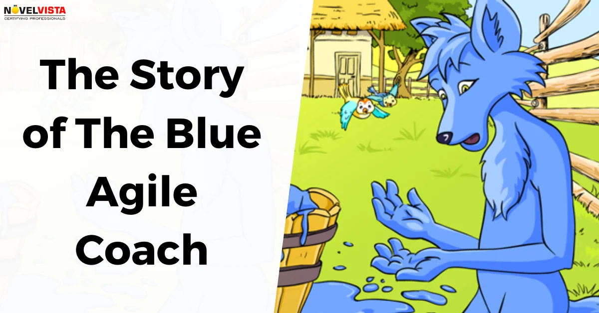 The Story of The Blue Agile Coach | Novelvista