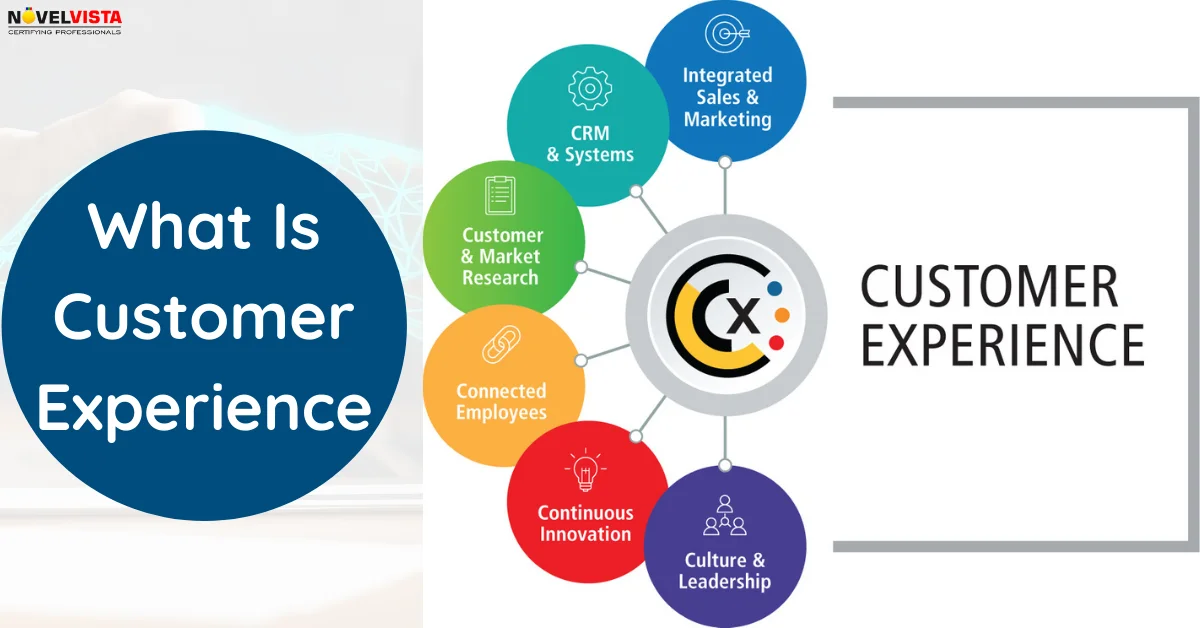 What Is Customer Experience | Novelvista