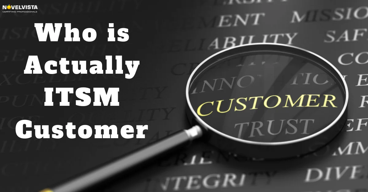 Who is Actually ITSM Customer | Novelvista