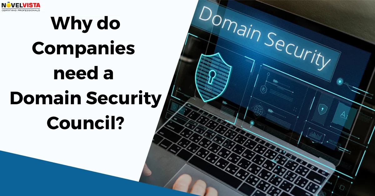 Why do companies need a domain security council? | Novelvista