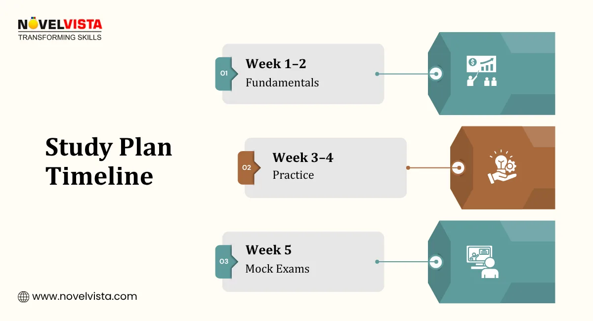 Study Plan Timeline