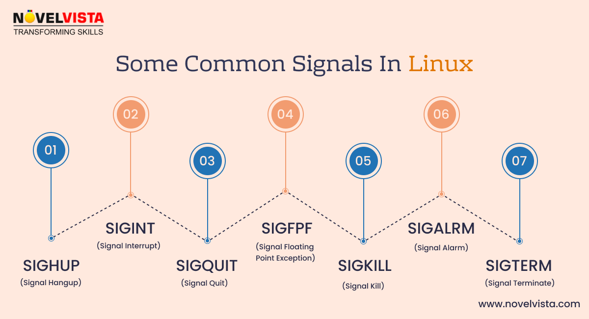 common linux signals