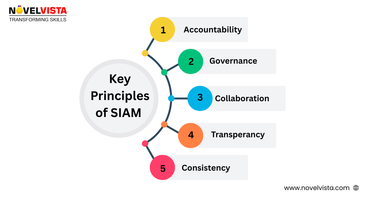Key Principles of SIAM