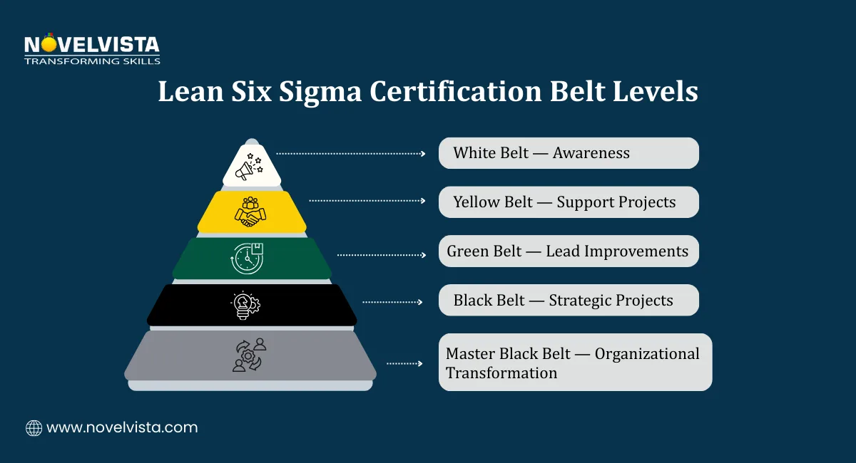 Lean Six Sigma Certification Belt Levels