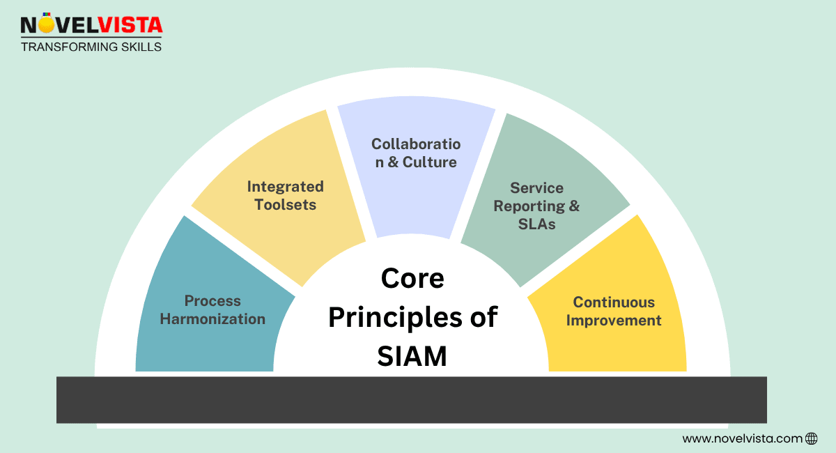 Key Principles of SIAM
