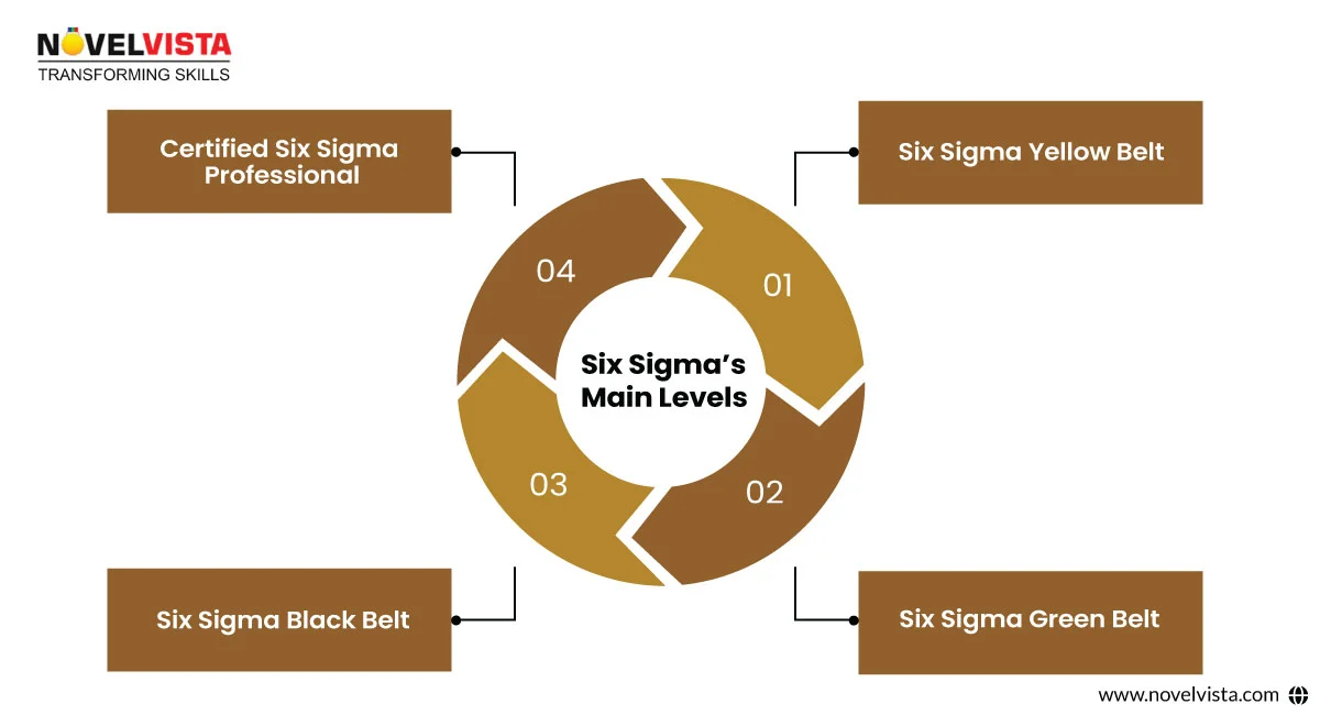 six sigma main levels
