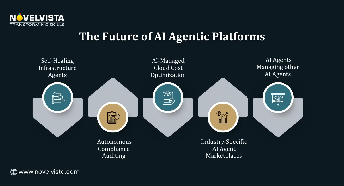 The Future of AI Agentic Platforms